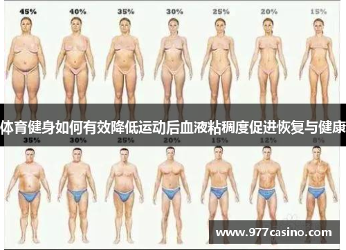 体育健身如何有效降低运动后血液粘稠度促进恢复与健康